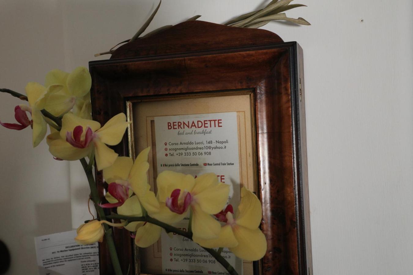 Bernadette Bed and Breakfast Νάπολη Εξωτερικό φωτογραφία
